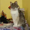 Отзыв от Регина Васильева